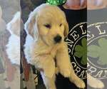Small #2 Breeder Profile image