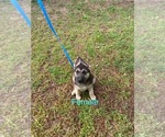 Small #1 Breeder Profile image