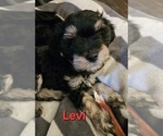 Small #5 Breeder Profile image