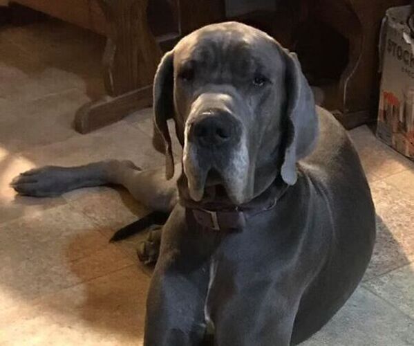 Medium Photo #1  Breeder Profile in NEW CANEY, TX, USA