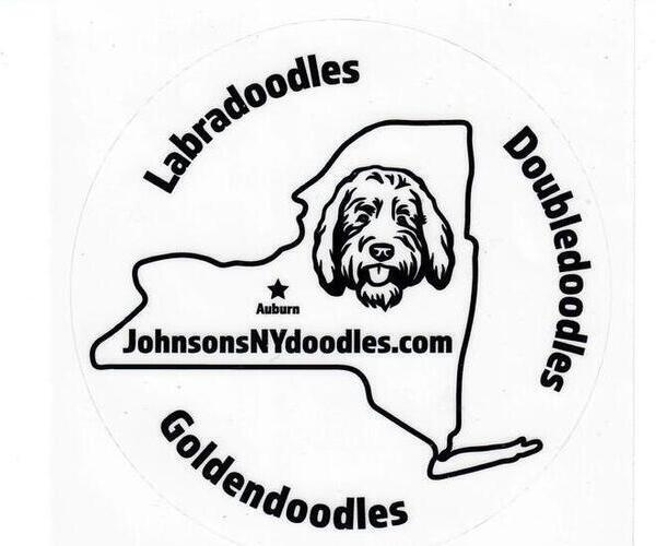 Medium Photo #1  Breeder Profile in AUBURN, NY, USA
