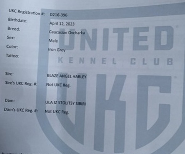 Medium Photo #8  Breeder Profile in AKELEY, MN, USA