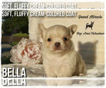 Small #5 Breeder Profile image