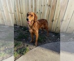 Small #15 Breeder Profile image