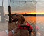 Small #10 Breeder Profile image