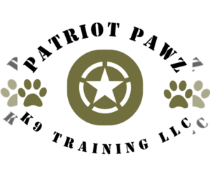 Border-Aussie Dog Breeder near ROY, UT, USA