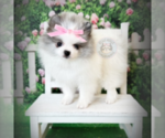 Small #2 Breeder Profile image