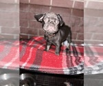 Small #3 Breeder Profile image