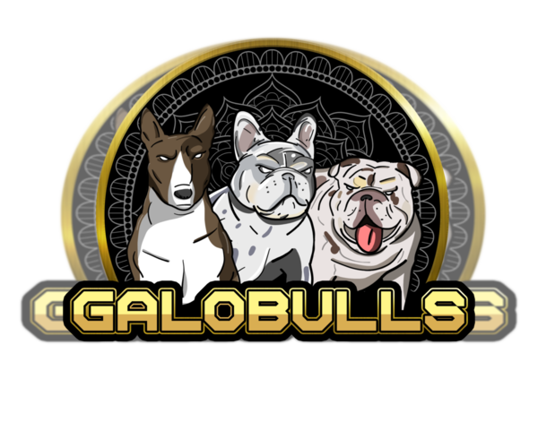 Medium Photo #1  Breeder Profile in FORT LAUDERDALE, FL, USA