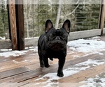 Small #14 Breeder Profile image