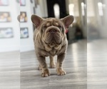 Small #3 Breeder Profile image