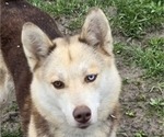 Small #9 Breeder Profile image