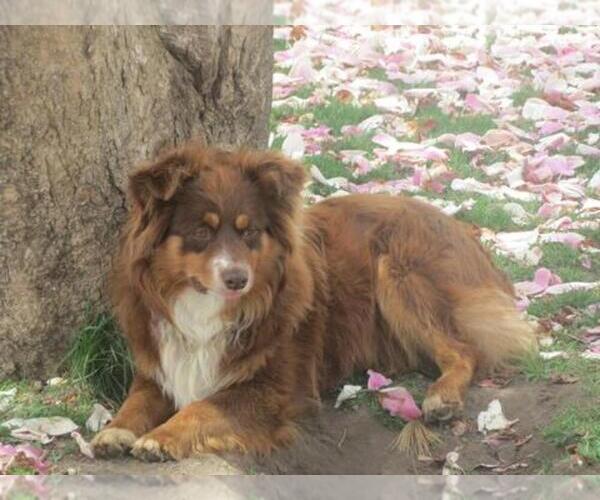 Medium Photo #1  Breeder Profile in HOPKINTON, IA, USA