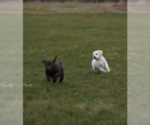 Small #6 Breeder Profile image