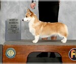 Small #13 Breeder Profile image