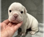 Small #5 Breeder Profile image