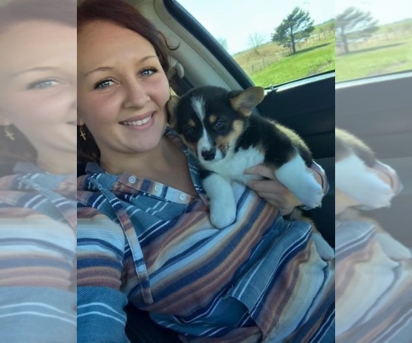 Medium Photo #1  Breeder Profile in PONCA CITY, OK, USA