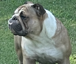 Small #9 Breeder Profile image