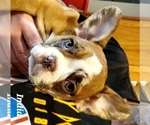 Small #6 Breeder Profile image