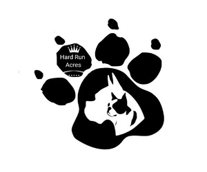Boxer Dog Breeder near LAKELAND, FL, USA