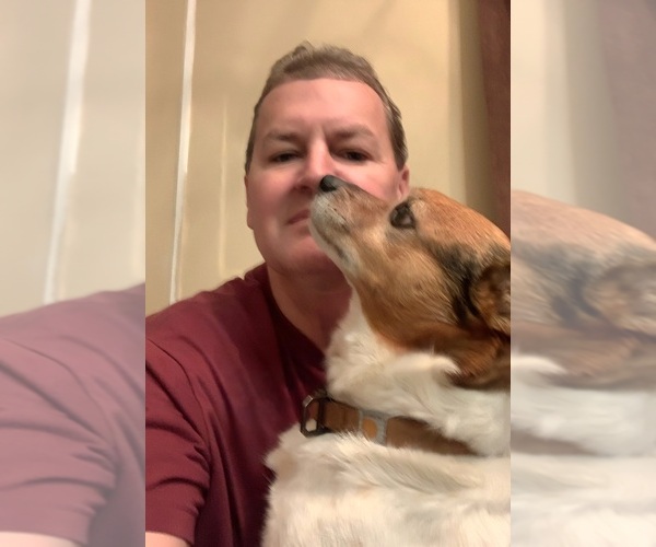 Medium Photo #1  Breeder Profile in SYCAMORE, GA, USA