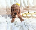 Small #22 Breeder Profile image