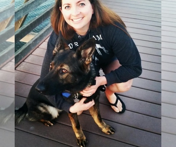 Medium Photo #2  Breeder Profile in LAKE ELSINORE, CA, USA