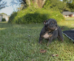 Small #4 Breeder Profile image
