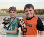 Small #1 Breeder Profile image