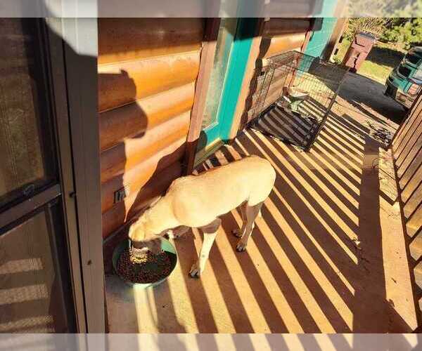 Medium Photo #4  Breeder Profile in RUSK, TX, USA