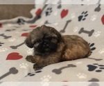 Small #5 Breeder Profile image