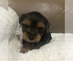 Small #1 Breeder Profile image