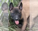 Small #7 Breeder Profile image
