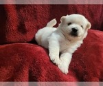 Small #81 Breeder Profile image