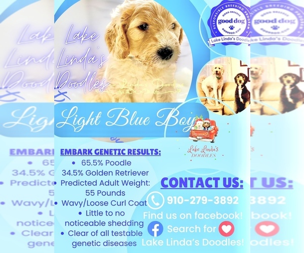 Medium Photo #26  Breeder Profile in HAMPSTEAD, NC, USA