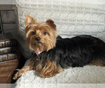 Small #18 Breeder Profile image