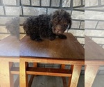 Small #4 Breeder Profile image