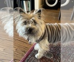 Small #31 Breeder Profile image