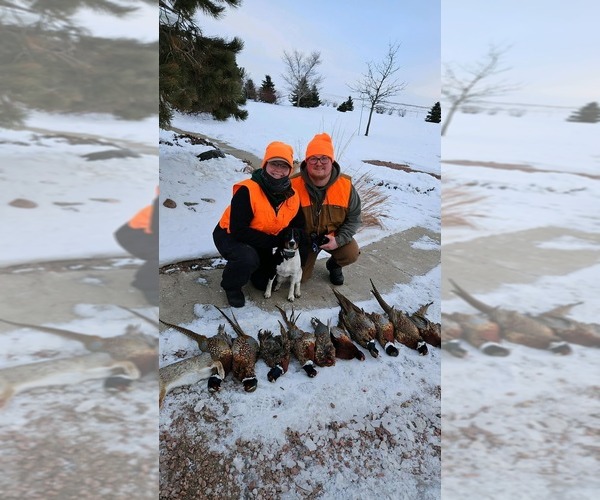 Medium Photo #10  Breeder Profile in LITCHFIELD, MN, USA