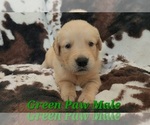 Small #1 Breeder Profile image