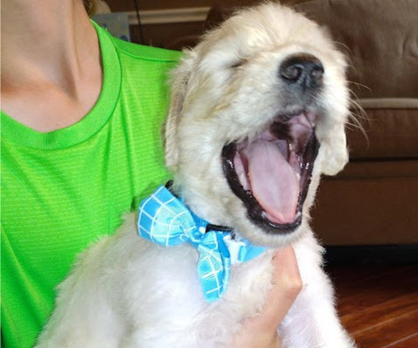 Medium Photo #10  Breeder Profile in ATHENS, TN, USA