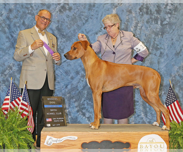 Medium Photo #20  Breeder Profile in CALDWELL, TX, USA