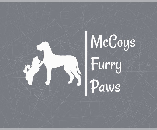 Medium Photo #1  Breeder Profile in CANTON, TX, USA
