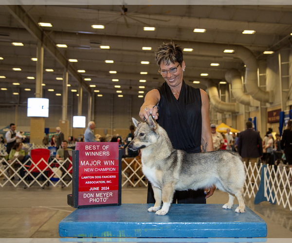 Medium Photo #5  Breeder Profile in GRAND LEDGE, MI, USA