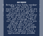 Small #3 Breeder Profile image