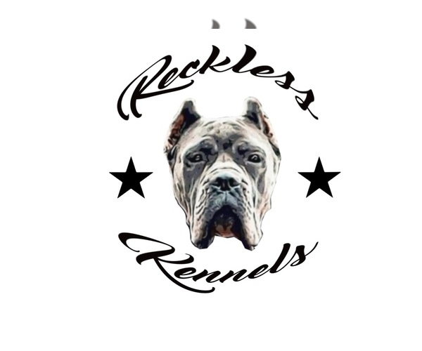 Medium Photo #1  Breeder Profile in STOCKTON, CA, USA