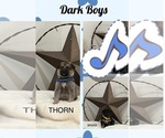 Small #18 Breeder Profile image