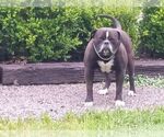 Small #13 Breeder Profile image