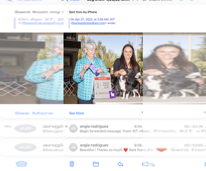 Chihuahua Dog Breeder near DOWNEY, CA, USA