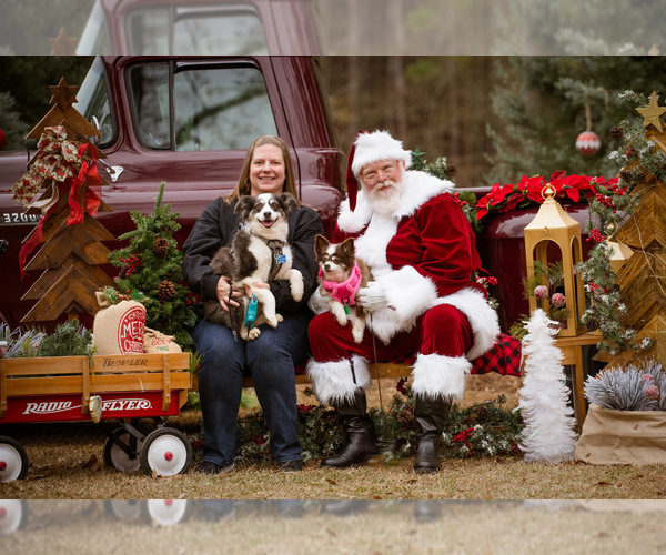 Medium Photo #6  Breeder Profile in GREENVILLE, GA, USA